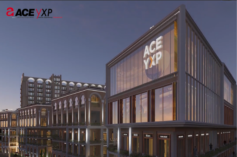 Unlocking Opportunities: Ace YXP – Your Gateway to Prosperity