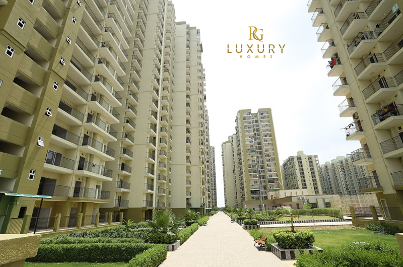 RG Luxury Homes: Elevating Living Standards in Noida Extension